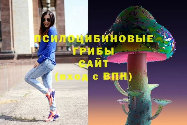 2c-b Каменка