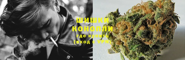 дмт Иннополис